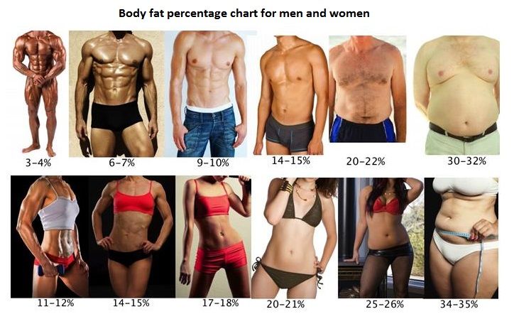procentaj de grăsime în greutate)